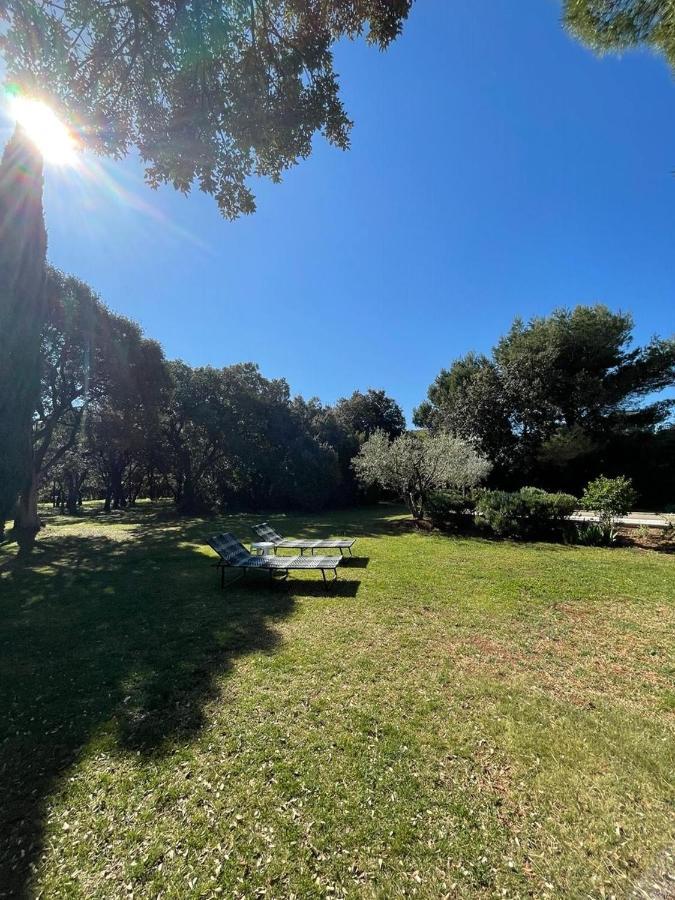 Eygalières Maison Les Chenes المظهر الخارجي الصورة